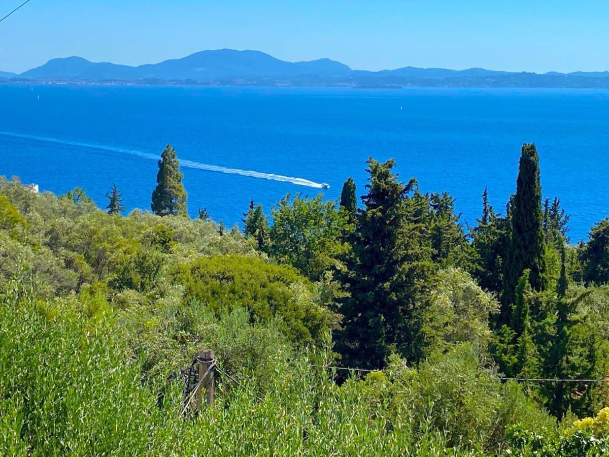 Villa Aliki Nissaki With Private Pool By Dadovillas Nisaki  Екстер'єр фото