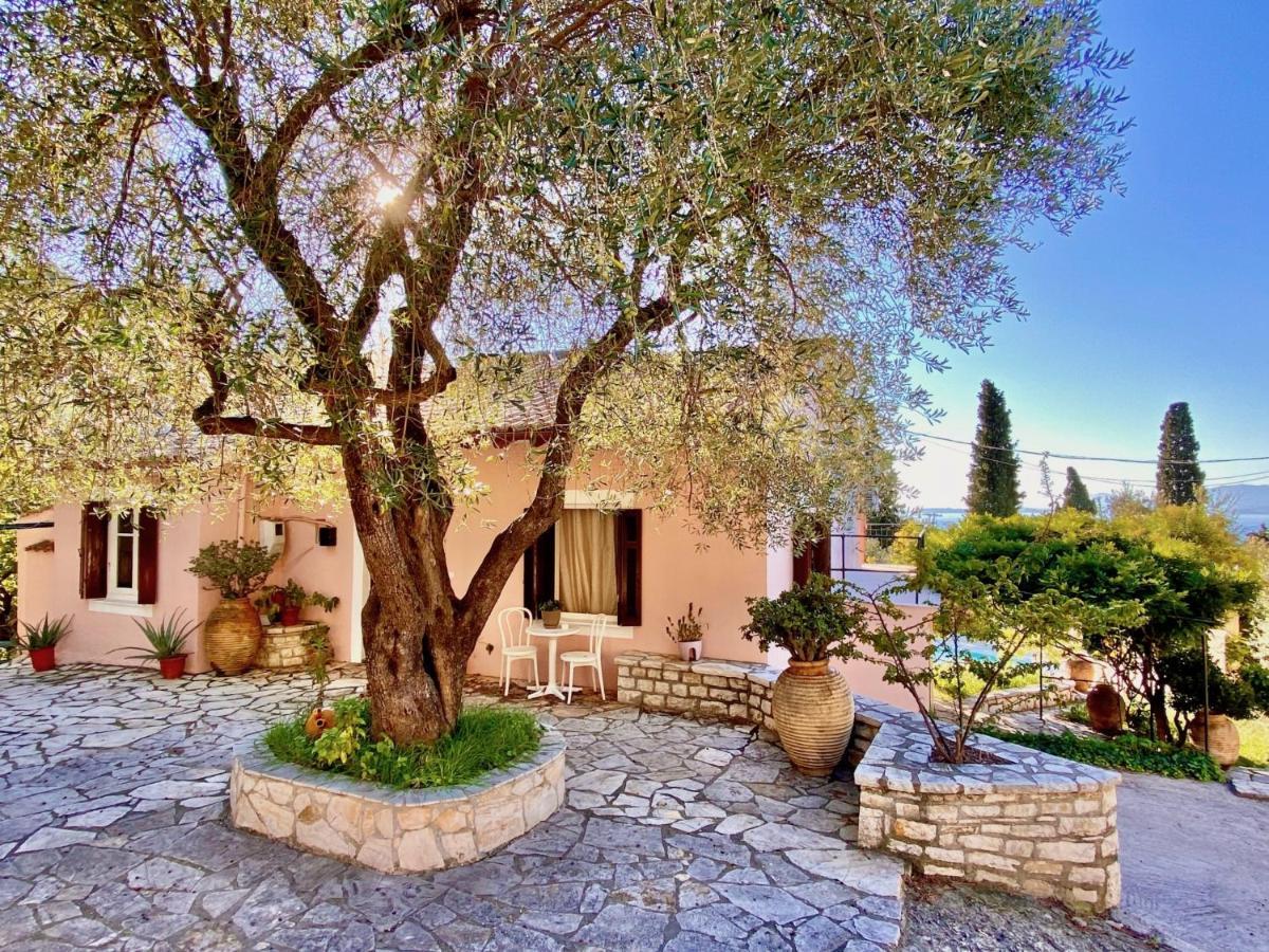 Villa Aliki Nissaki With Private Pool By Dadovillas Nisaki  Екстер'єр фото
